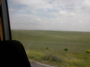 IMG_20140610_114306.jpg 2560x1920 index 107